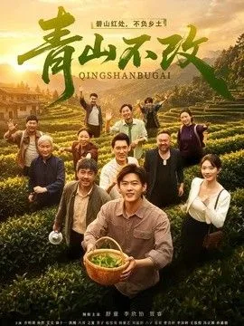 青山不改